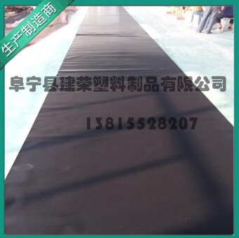 公司技術(shù)總監(jiān)